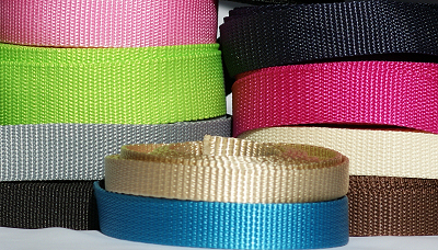 Webbing or leads and martingale style collar clasps