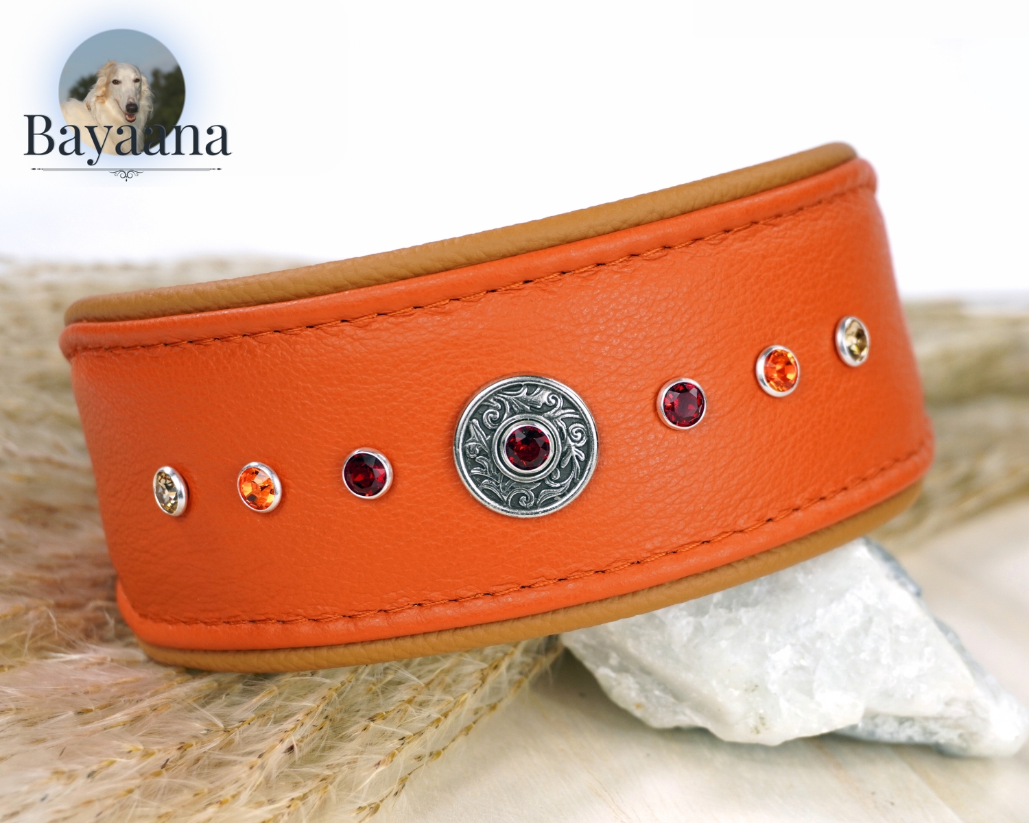 Sighthound collar with rivets made of orange leather